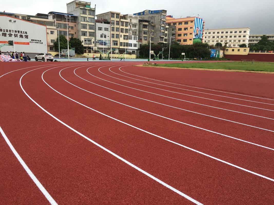 辽阳市人造草坪塑胶跑道材料 - 排名